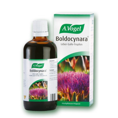 A.VOGEL BOLDOCYNARA 50ML